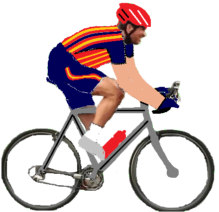 trikot_42745-1.png